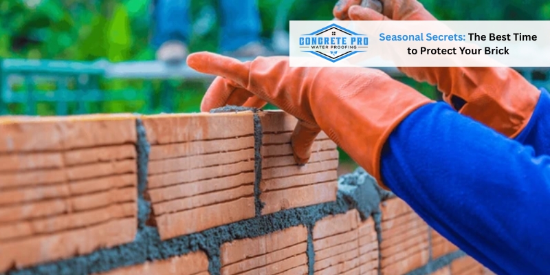 Seasonal Secrets: The Best Time to Protect Your Brick