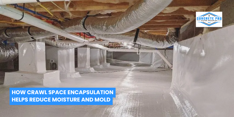 How Crawl Space Encapsulation Helps Reduce Moisture and Mold
