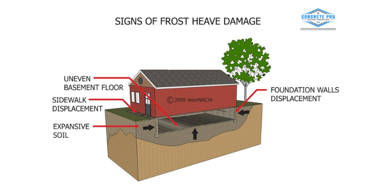 When Water in the Soil Turns to Ice 